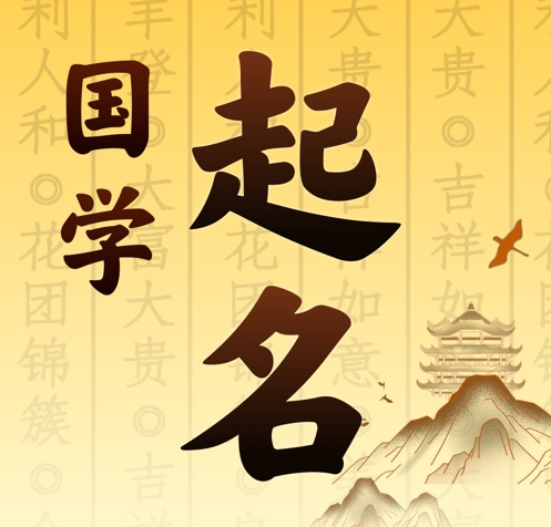 鹤山国学起名 人工起名一对一